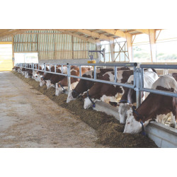 Panneau d'alimentation libre-service 2 lisses Ø 76 mm - 4 m