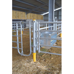 Embout avant 5 lisses passage d'hommes ou veaux pour barrière de stabulation