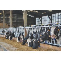 Cornadis confort SR - 5 m/7 places Cornadis confort SR - 5 m/7 places