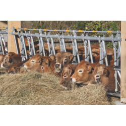 Cornadis confort SR - 5 m/7 places Cornadis confort SR - 5 m/7 places