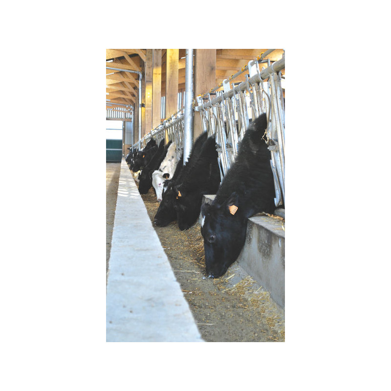 Cornadis confort SR - 5 m/7 places Cornadis confort SR - 5 m/7 places