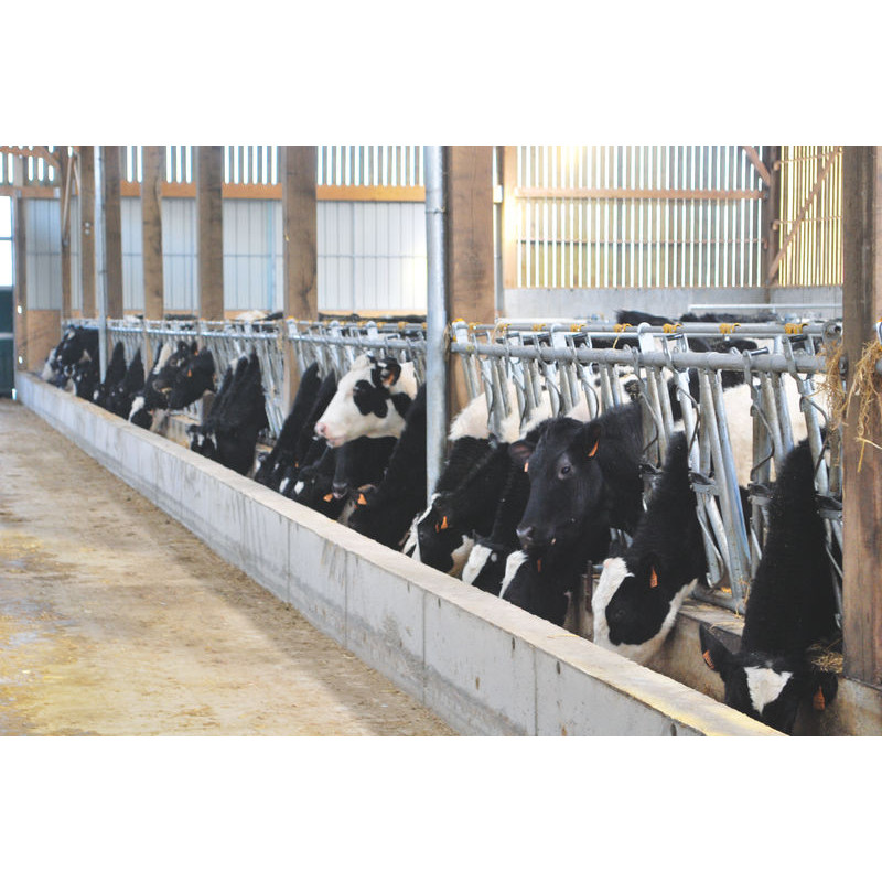 Cornadis confort SR - 5,40 m/8 places Cornadis confort SR - 5,40 m/8 places