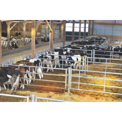 Cornadis Confort LR - 4 m/5 places Cornadis Confort LR - 4 m/5 places