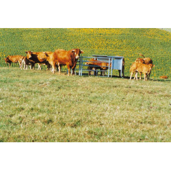 Nourrisseur à veau évolutif 3 m - 1000 L Nourrisseur à veau évolutif 3 m - 1000 L