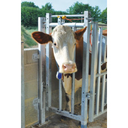 Panneau cornadis de stalle Panneau cornadis de stalle