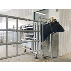 Panneau cornadis de stalle Panneau cornadis de stalle