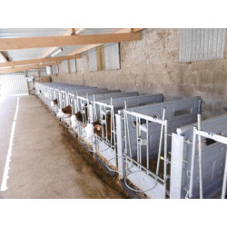 Cloison pour case à veaux Hygiène Plus