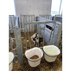 Façade pour case à veaux métallique galvanisée