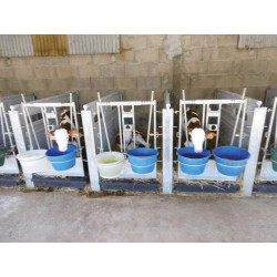 Façade pour case à veaux métallique galvanisée