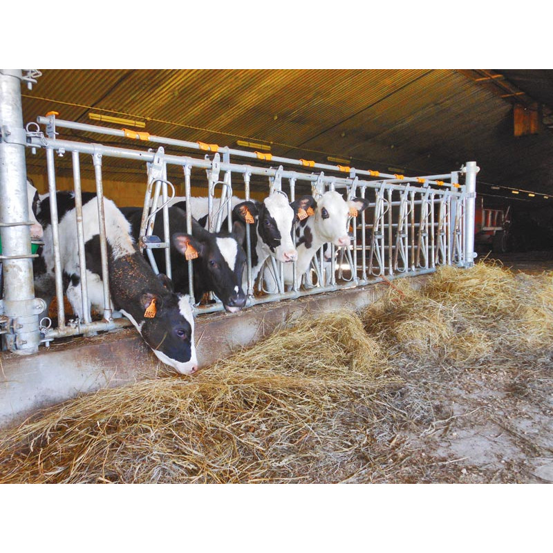 Cornadis à veaux JUNIOR CONFORT SR sans porte-seaux 10 places/5 m