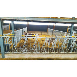 Cloison de séparation barreaudée Ø 42,4 mm - Long. 3 m