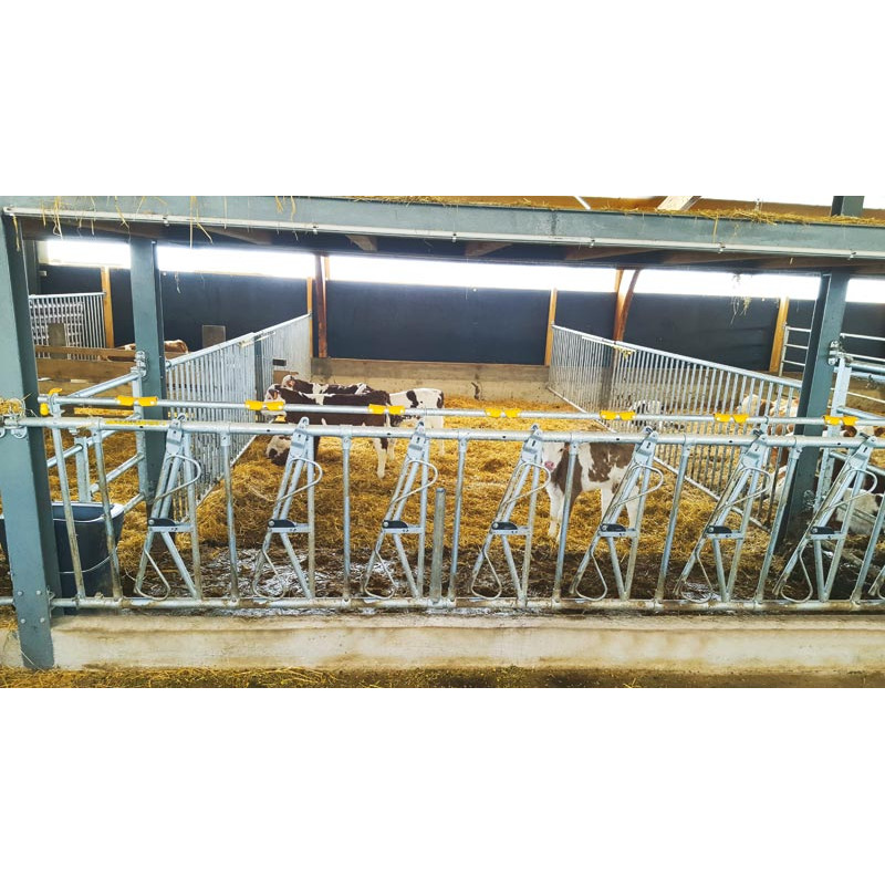 Cloison de séparation barreaudée Ø 42,4 mm - Long. 3 m