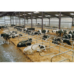 Bat-flanc de logette monopied à sceller Bat-flanc de logette monopied à sceller