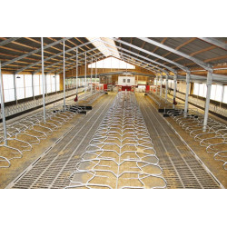 Bat-flanc de logette monopied sur platine pour vache adulte Bat-flanc de logette monopied sur platine pour vache adulte