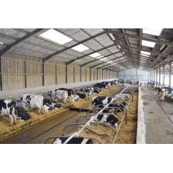 Barre au garrot cintrée Ø 49 mm pour bat-flancs