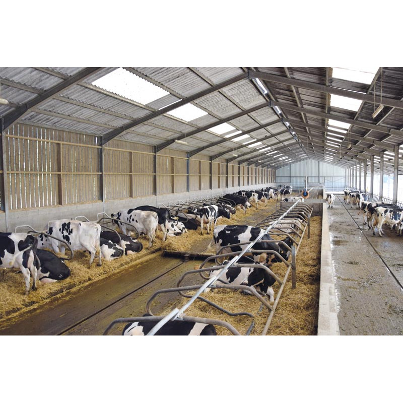 Barre au garrot cintrée Ø 49 mm pour bat-flancs