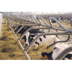 Barre au garrot cintrée Ø 49 mm pour bat-flancs