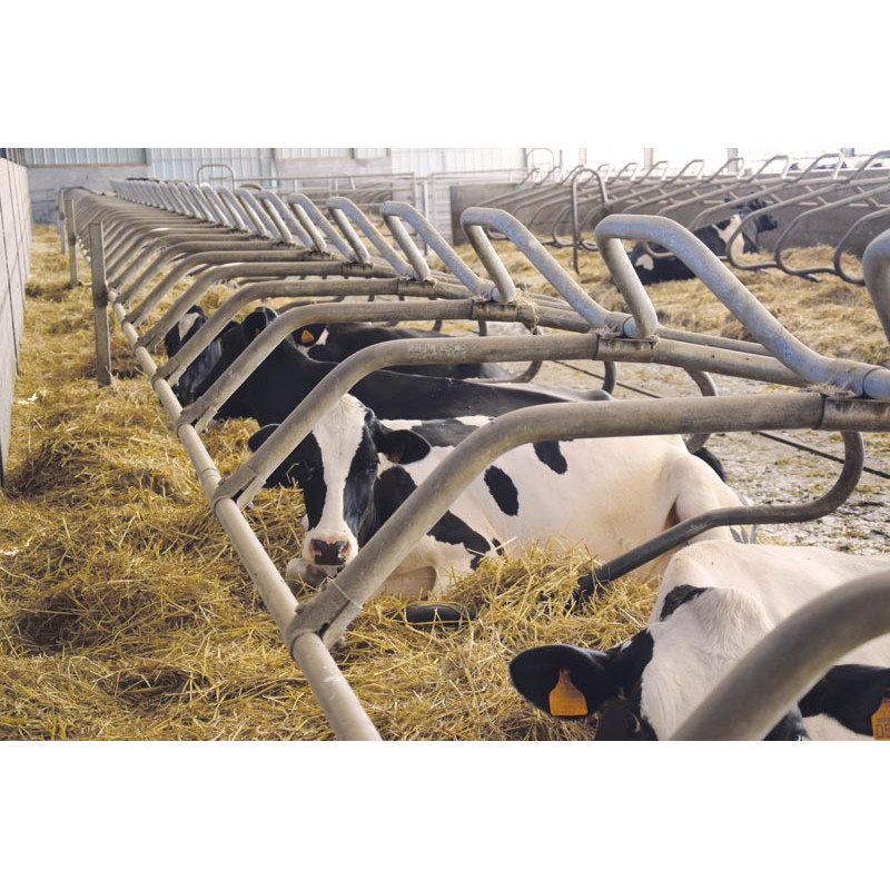 Barre au garrot cintrée Ø 49 mm pour bat-flancs