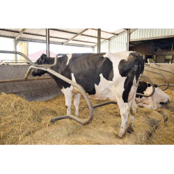 Barre au garrot cintrée Ø 49 mm pour bat-flancs