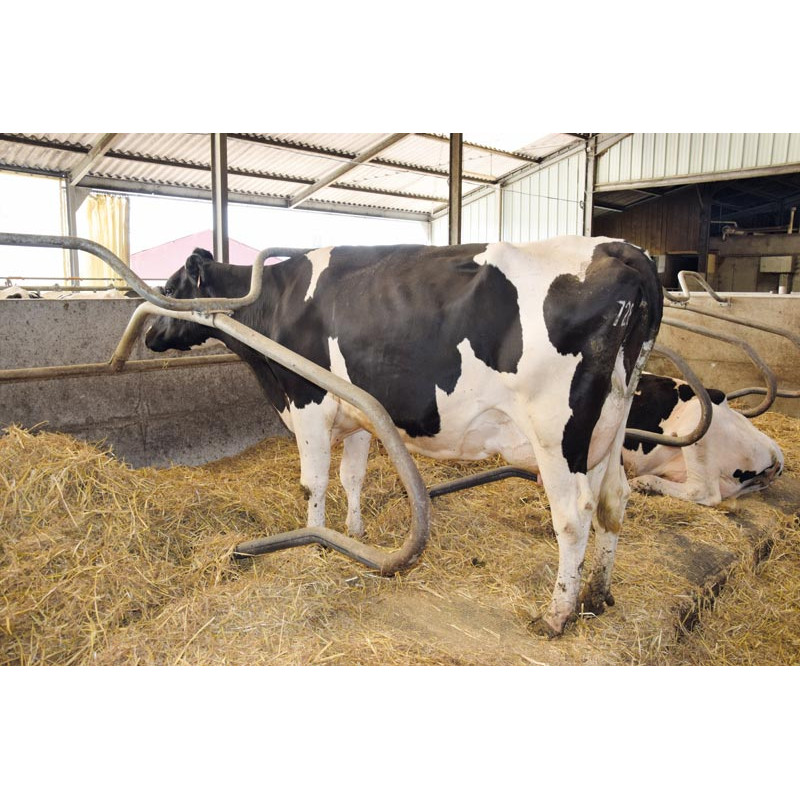 Barre au garrot cintrée Ø 49 mm pour bat-flancs