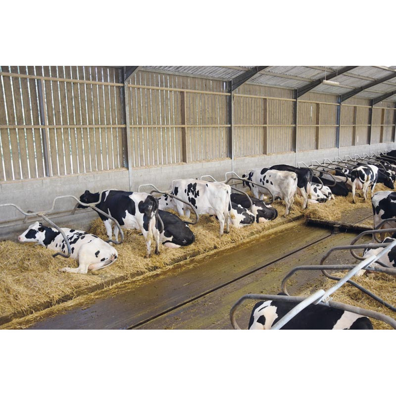 Barre au garrot cintrée Ø 49 mm pour bat-flancs