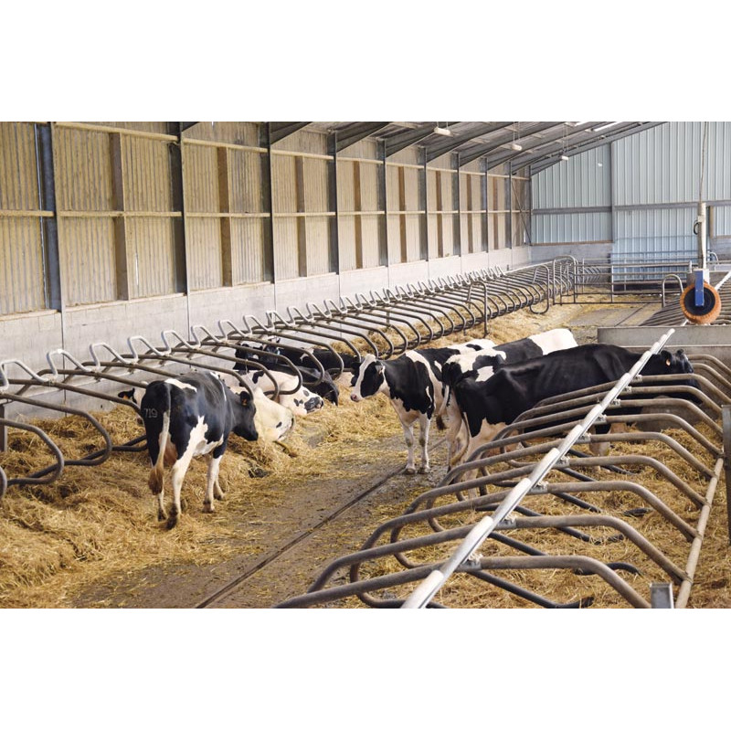 Barre au garrot cintrée Ø 49 mm pour bat-flancs