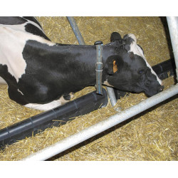 Arrêtoir de logette