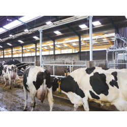 Barrière de séparation relevable  2,30/3,40 m pour couloir de logettes Barrière de séparation relevable  2,30/3,40 m pour couloir de logettes