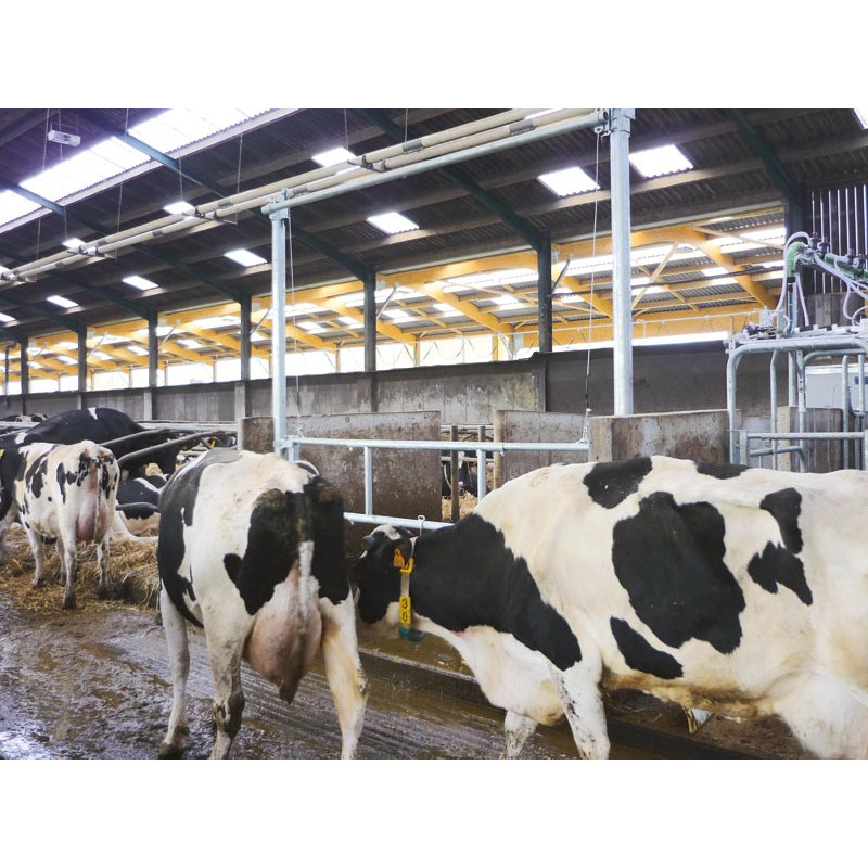 Barrière de séparation relevable  2,30/3,40 m pour couloir de logettes Barrière de séparation relevable  2,30/3,40 m pour couloir de logettes