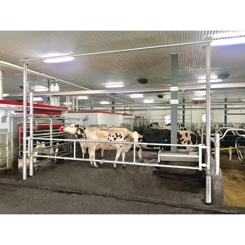 Barrière de séparation relevable 3,40/4,50 m pour couloir de logettes Barrière de séparation relevable 3,40/4,50 m pour couloir de logettes