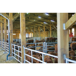 Embout avant 5 lisses avec 2 verrous emboutis pour barrière de stabulation