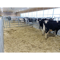 Embout avant 5 lisses passage d'homme et portillon pour barrière de stabulation 