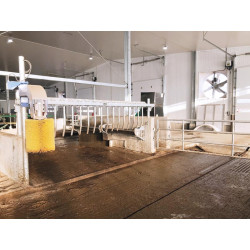 Module Finger gate avec poteaux Ø 102 mm à sceller