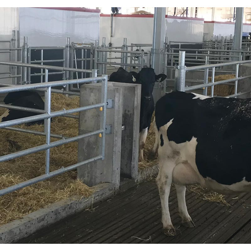 Platine murale "EASYLOCK"