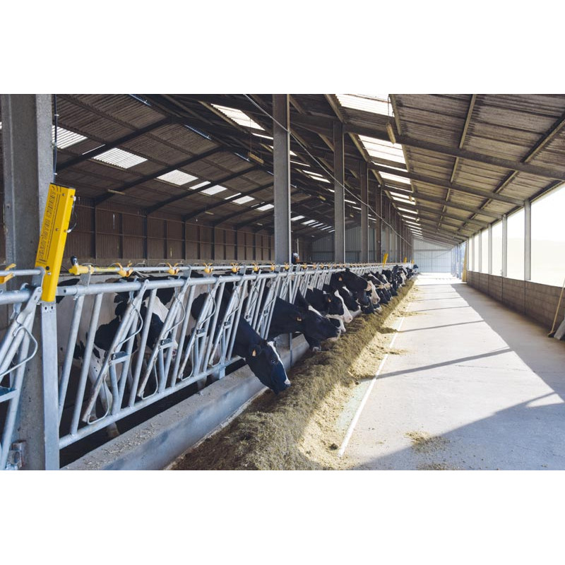 Kit de départ Système CABON