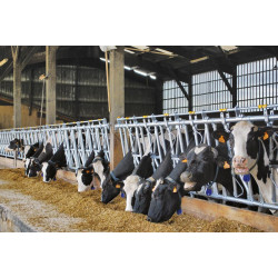 Cornadis confort SR - 5 m/7 places Cornadis confort SR - 5 m/7 places