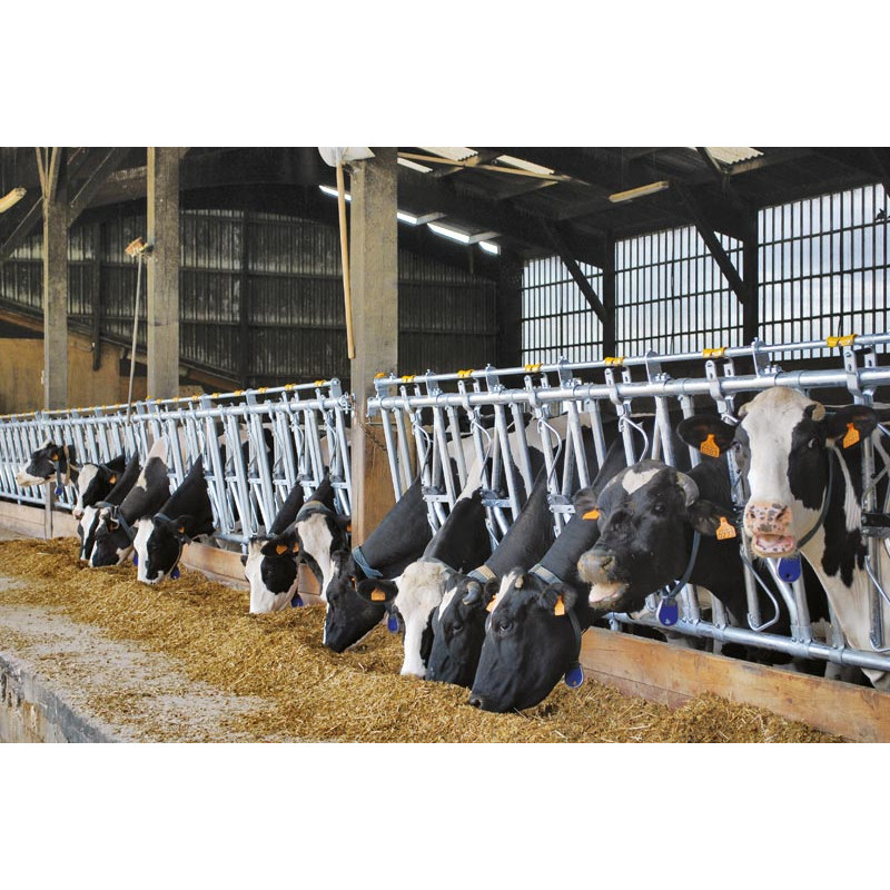 Cornadis confort SR - 5 m/7 places Cornadis confort SR - 5 m/7 places