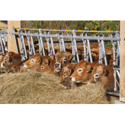 Cornadis confort SR - 5 m/7 places Cornadis confort SR - 5 m/7 places