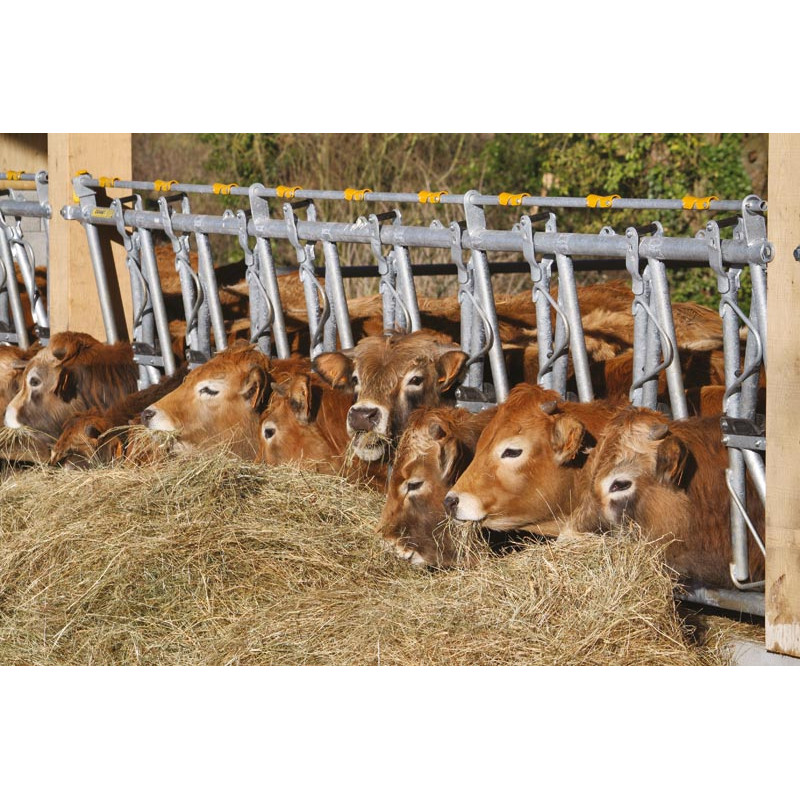 Cornadis confort SR - 5 m/7 places Cornadis confort SR - 5 m/7 places