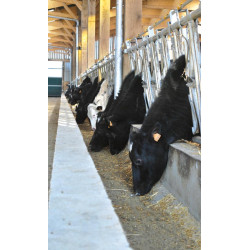 Cornadis confort SR - 5 m/7 places Cornadis confort SR - 5 m/7 places