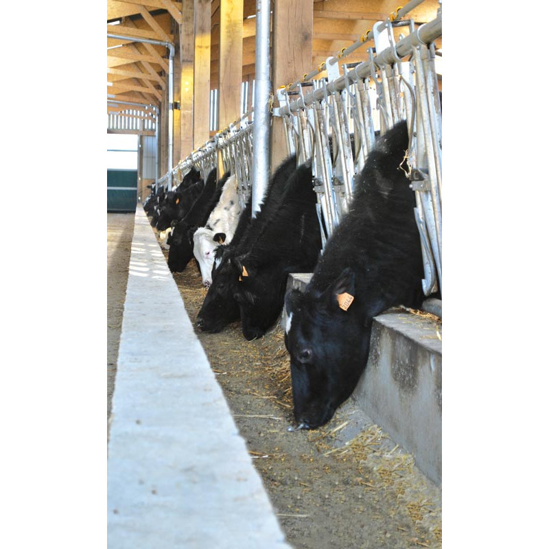 Cornadis confort SR - 5 m/7 places Cornadis confort SR - 5 m/7 places