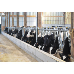 Cornadis confort SR - 5,40 m/8 places Cornadis confort SR - 5,40 m/8 places
