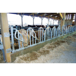 Cornadis PRO Suédois - 4 m/5 places