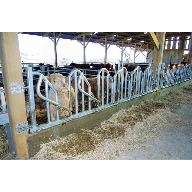 Cornadis PRO Suédois - 4 m/5 places