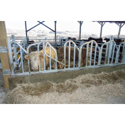 Cornadis PRO Suédois - 4 m/5 places