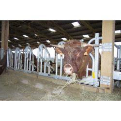 Cornadis PRO Suédois - 4 m/5 places