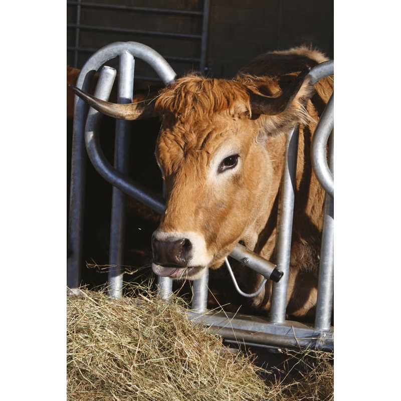 Cornadis PRO Suédois - 4 m/5 places