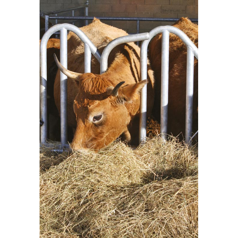 Cornadis PRO Suédois - 4 m/5 places