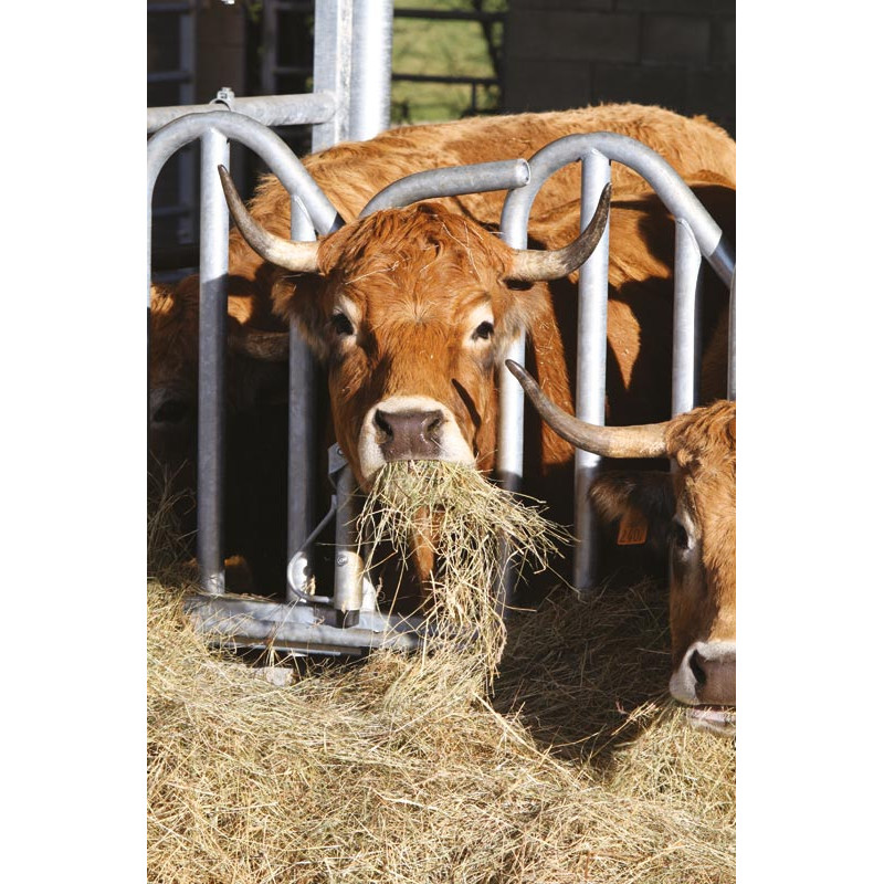 Cornadis PRO Suédois - 4 m/5 places