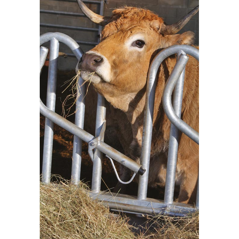 Cornadis PRO Suédois - 4 m/5 places